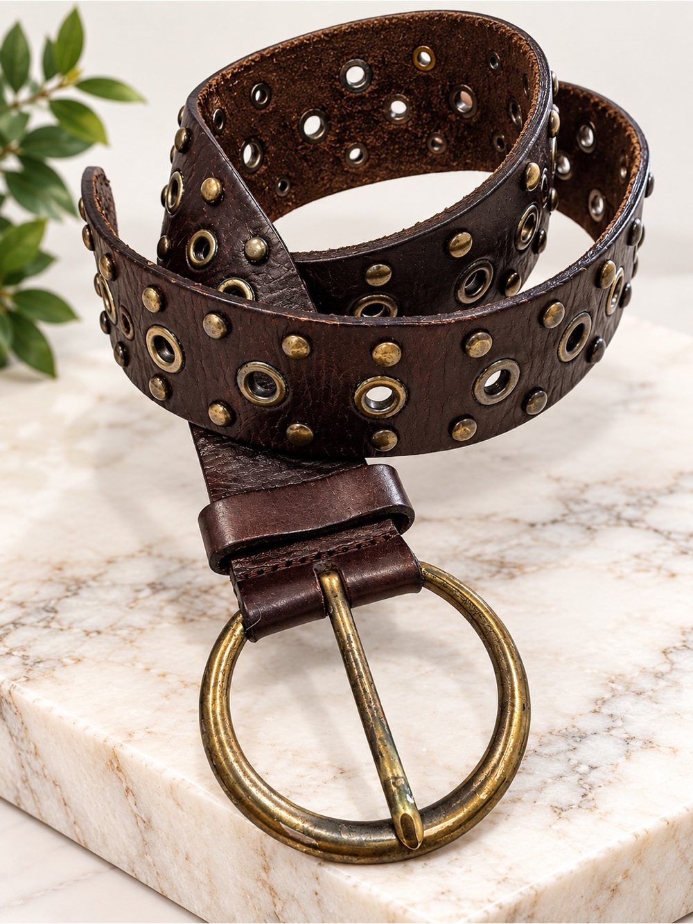 Fossil Dark Brown Genuine Leather Eyelet Studded Belt Round Brass Buckle